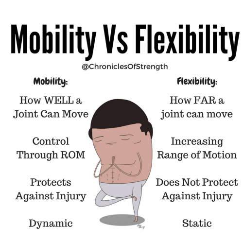 Image result for mobility and flexibility